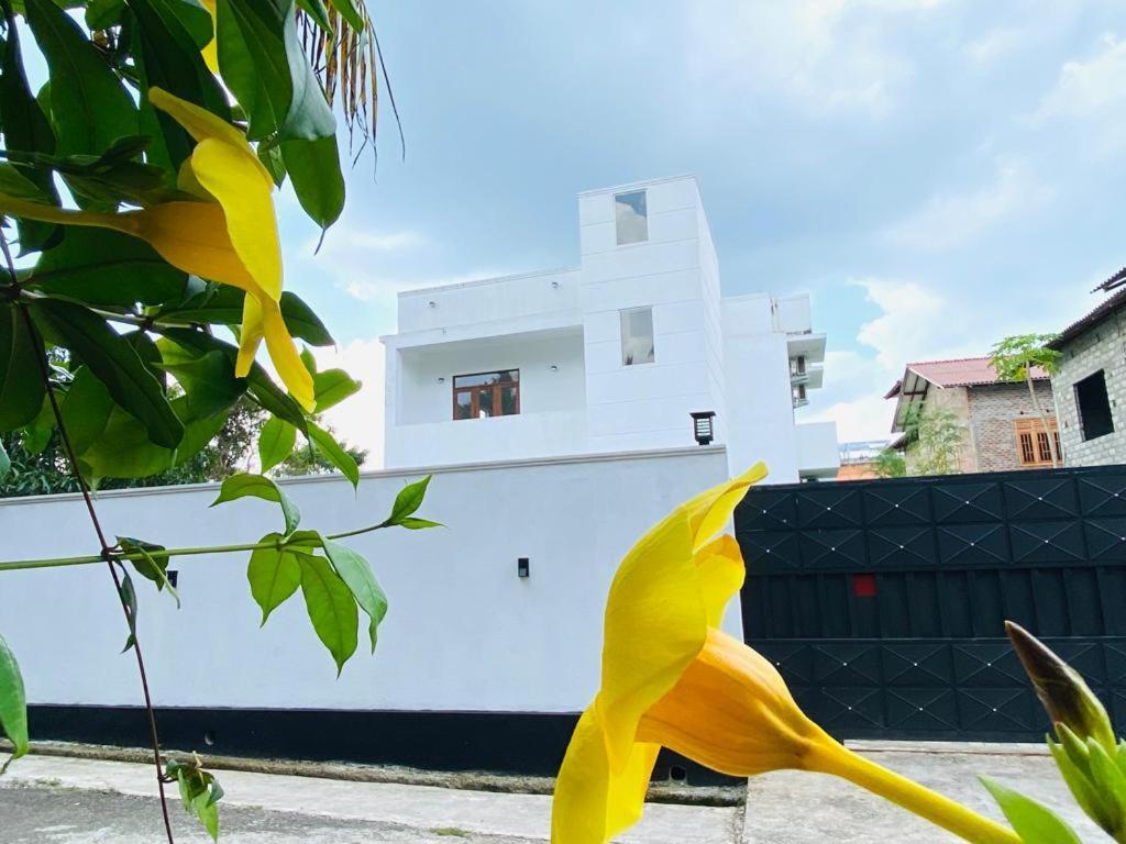 Twinstop Villa Minuwangoda Buitenkant foto