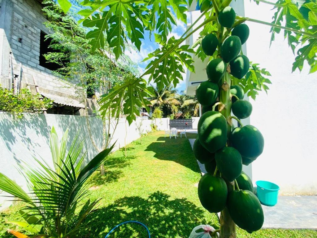 Twinstop Villa Minuwangoda Buitenkant foto